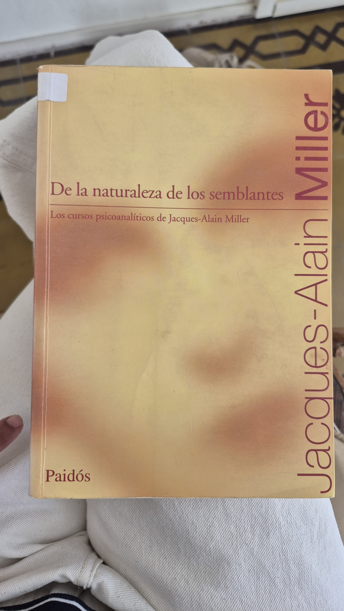 De la naturaleza de los semblantes