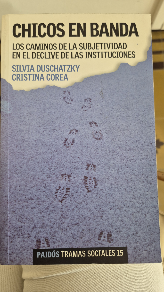 Chicos en banda: los caminos de la subjetividad en el declive de las instituciones.