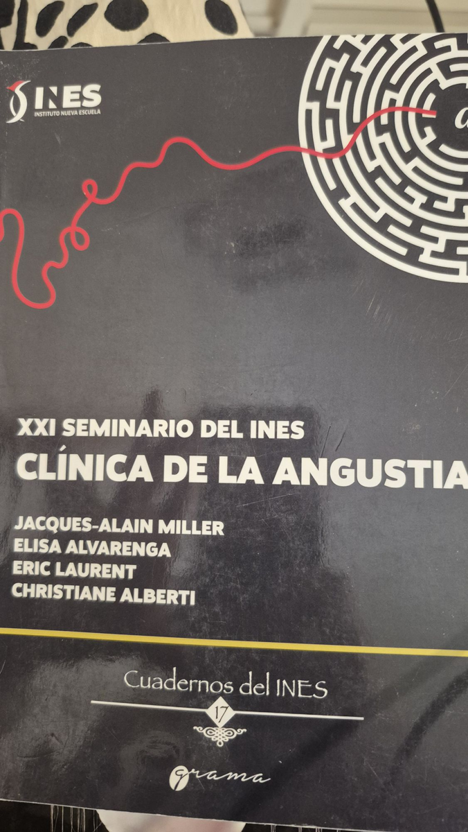 Clínica de la angustia: cuadernos del INES 17