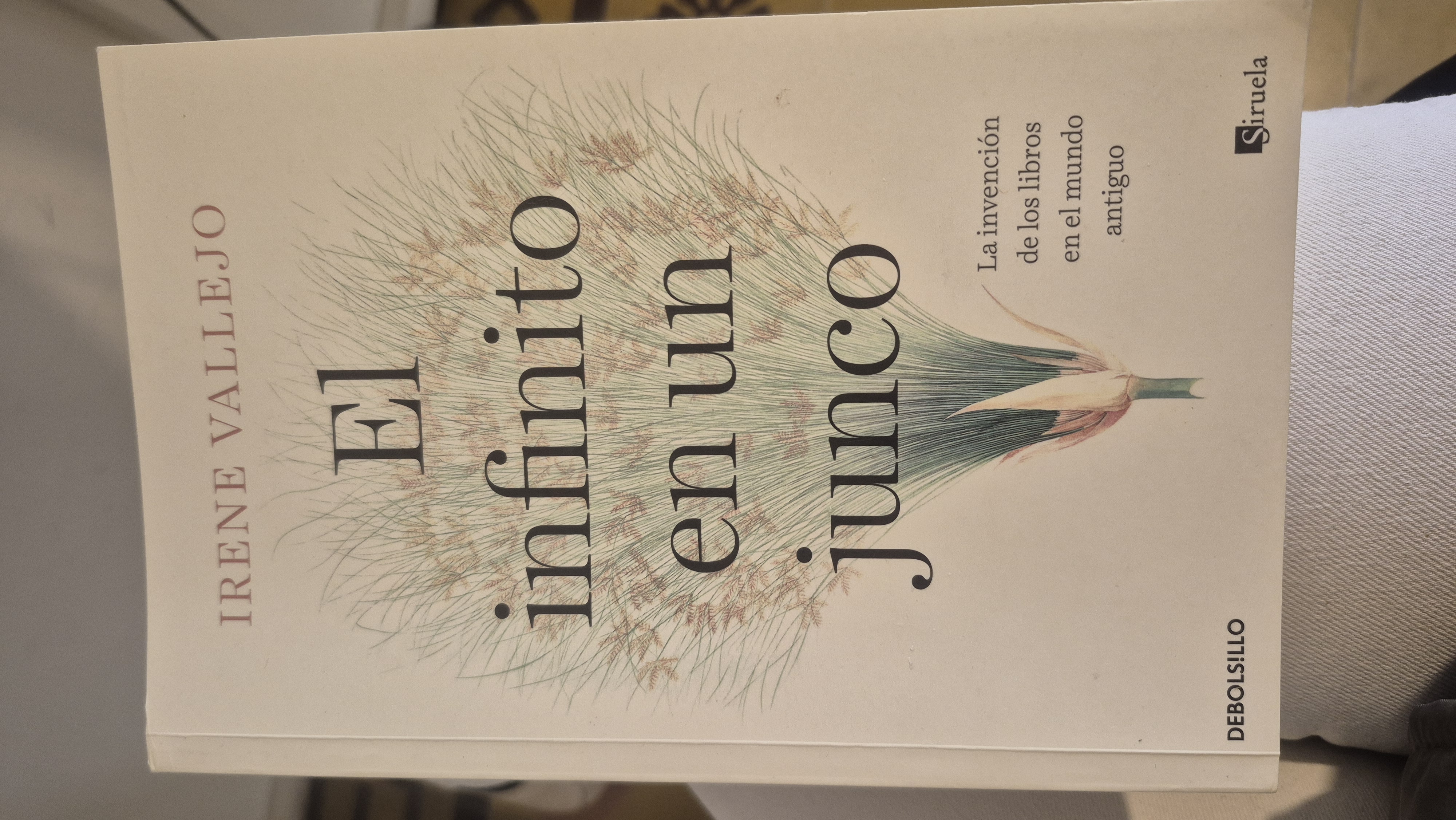 El infinito en un junco: La invención de los libros en el mundo antiguo