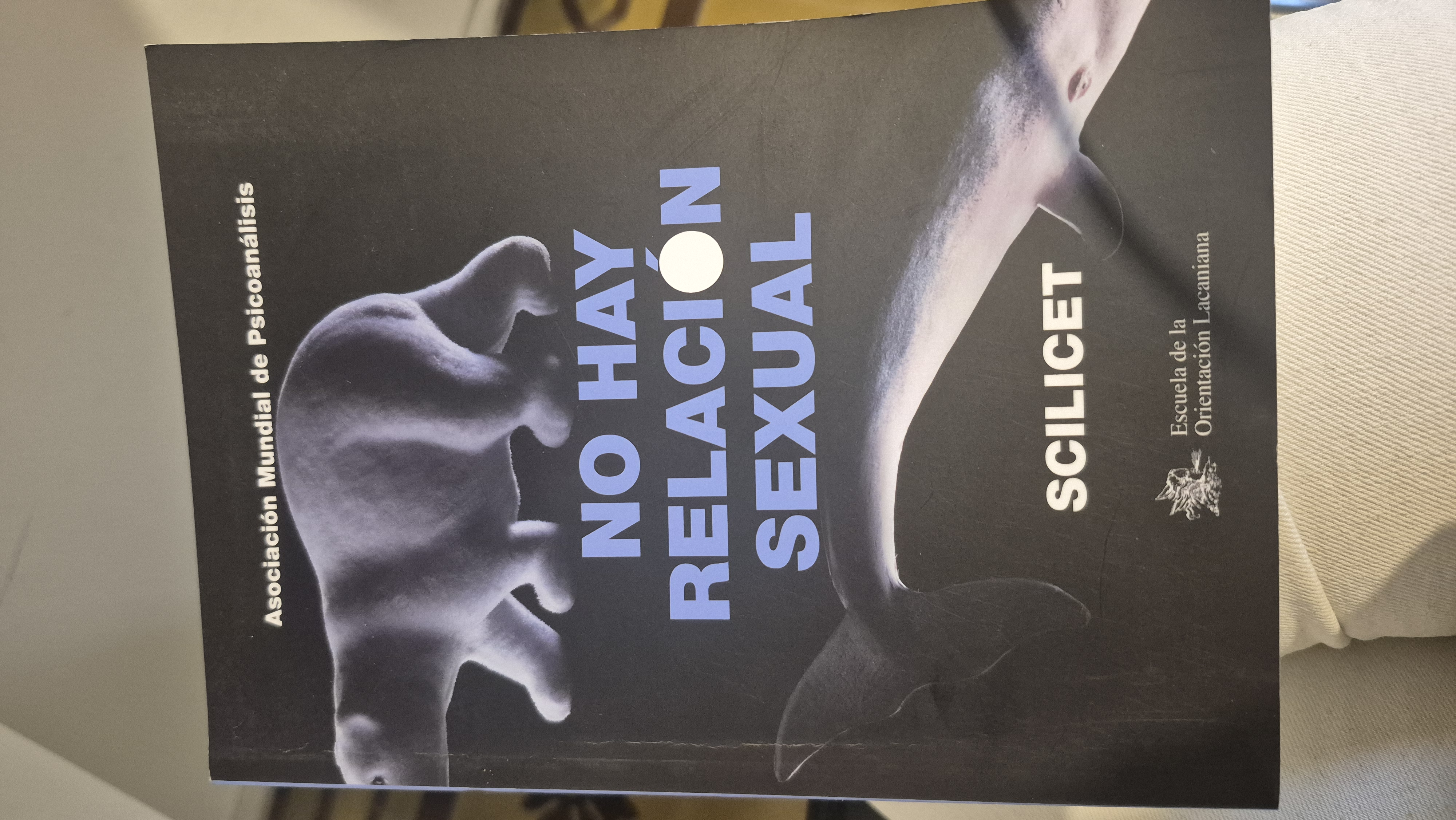 La relación sexual no existe: Scilicet; Compilación de Anna Lydia Santiago